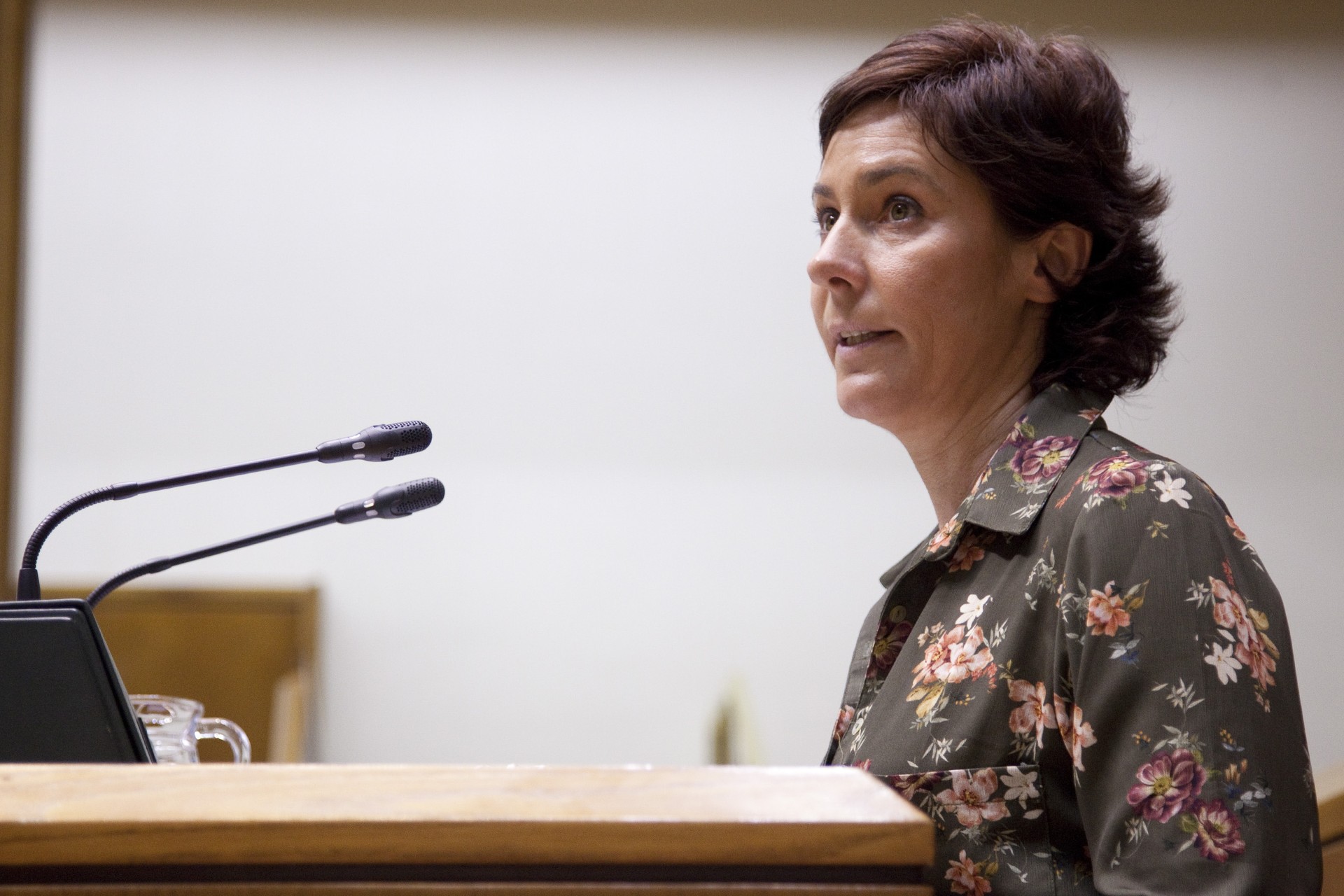 Amaia Arregi: “Diru Sarrerak Bermatzeko Errentak (RGI-a) ezin ditu bete Estatuko Gobernuak pentsio-sistema publikoan sortutako hutsune guztiak”
