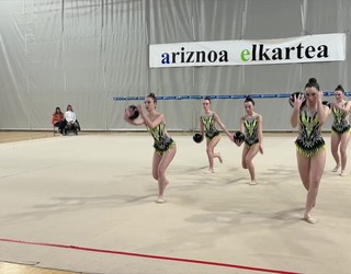 Bergarako eta Arrasateko gimnastak, Gipuzkoako txapelketara begira