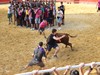 Sanjuanak: lehen entzierroa