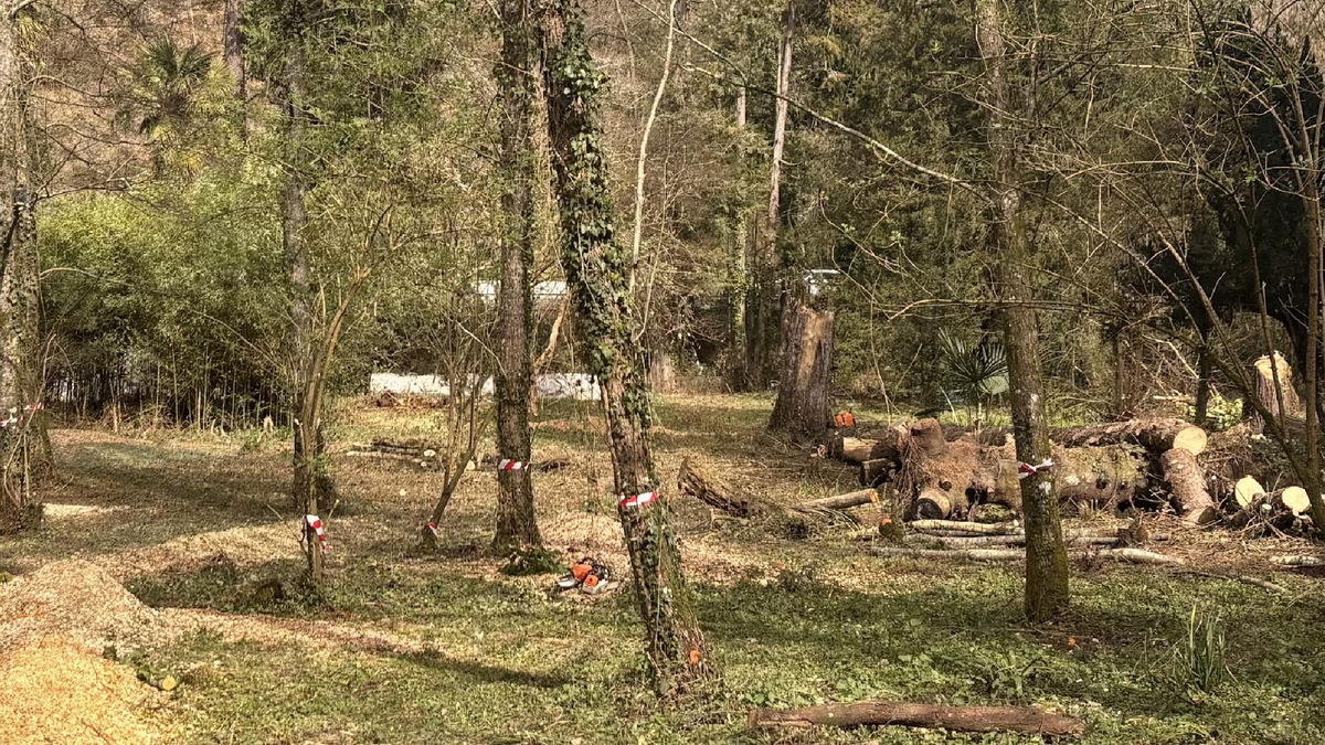 Etxezarretako lorategia berreskuratzeko obrak hasi ditu Arrasateko Udalak