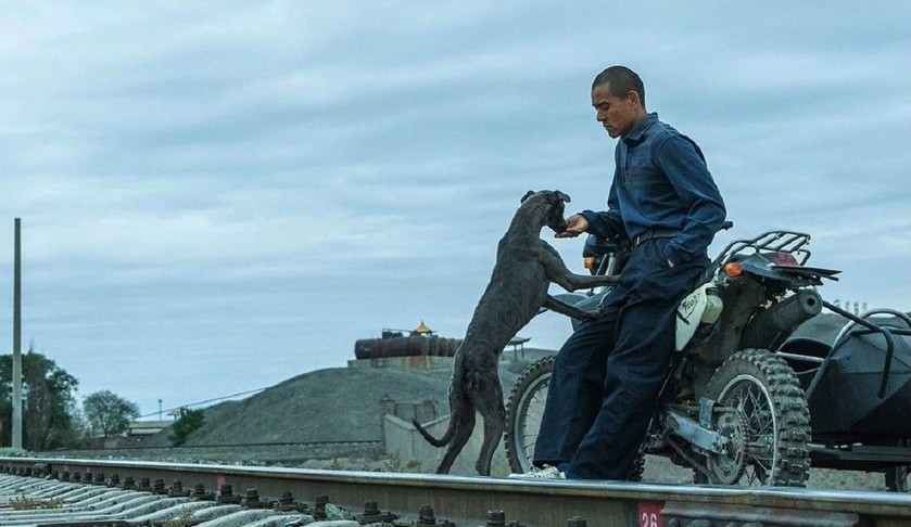 'Black dog' pelikula: Izaki bakartiak
