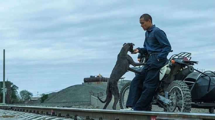 'Black dog' pelikula: Izaki bakartiak