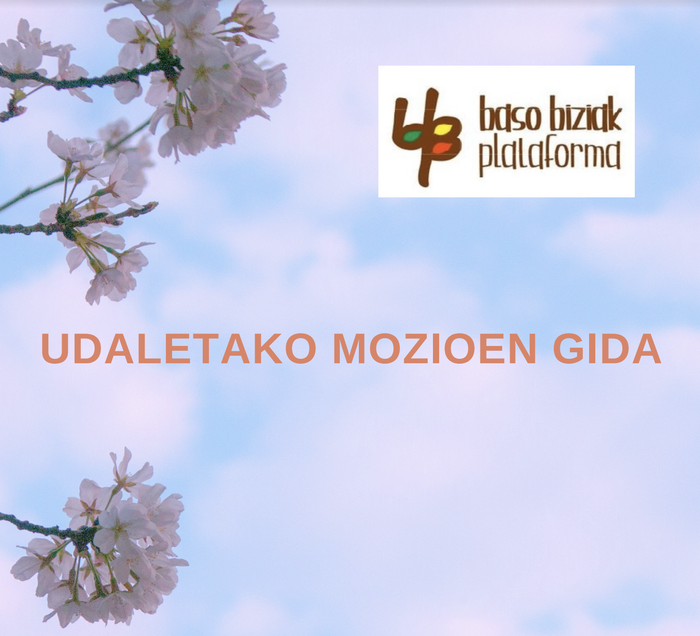 Udaletako Mozioen Gida, aurkezpena