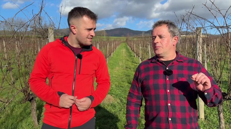 2025eko txakolin uzta, Murgialdaikoen eskutik