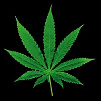 Hitzaldia: '¿Que dice la ley sobre el consumo de cannabis?'