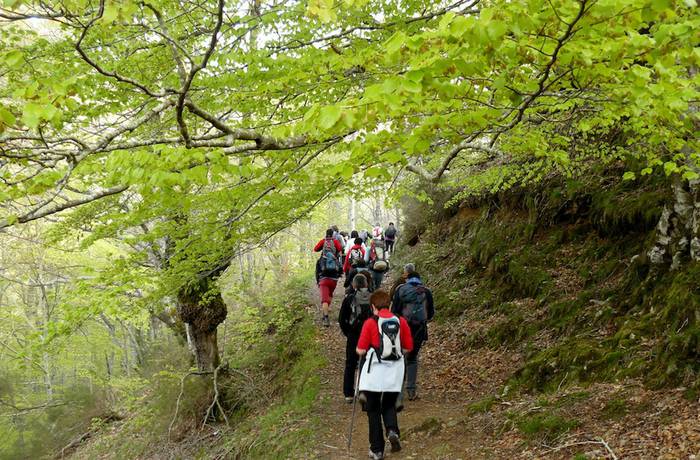 Gaur egin behar da Arrolak Aralarrera antolatutako irteerarako izen-ematea