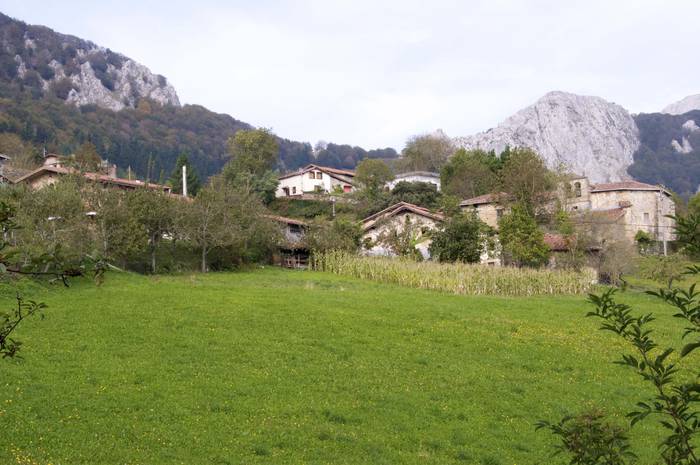 Etxaguen auzoko lanak, aurrera