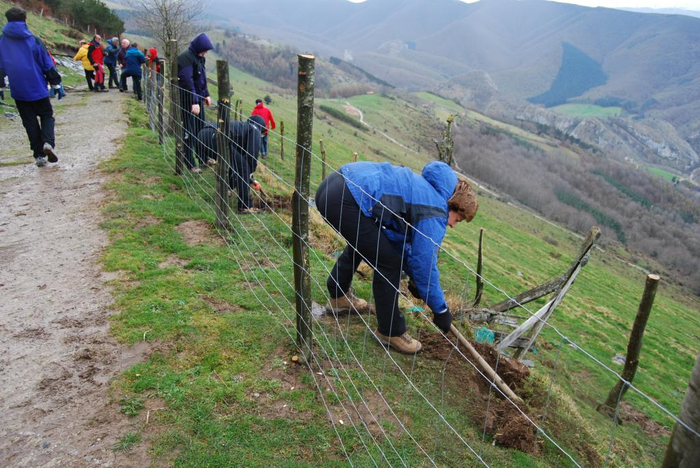 Zuhaitz Eguna Duru eta Aloña artean