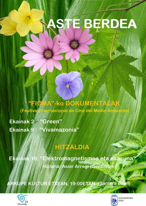 Aste Berdea egingo dute Ingurumenaren Nazioarteko Eguna gogoan
