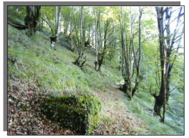 Pagola-Loidiko ubidearen ibilbidea ezagutzeko ibilaldi gidatua hilaren 22an