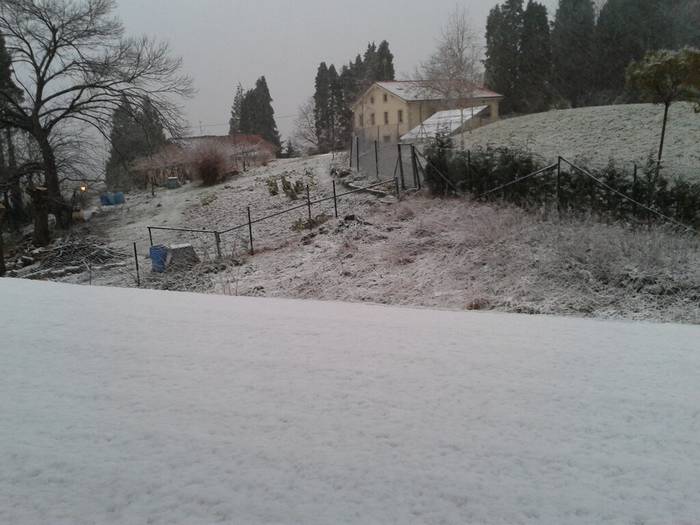 Elgetan zuritzen hasi da