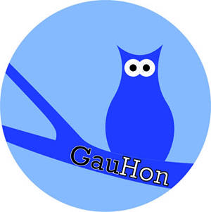 'GauHon' gazteendako gaueko aisialdia jarriko dute abian ekainean