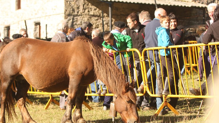 Feriaren bueltan, jai giroa izango da nagusi eguaztenean Elosuan