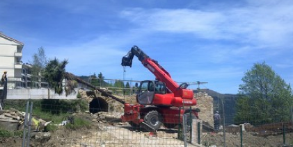 Tokiz aldatuko dute Domingo Iturbeko palmera
