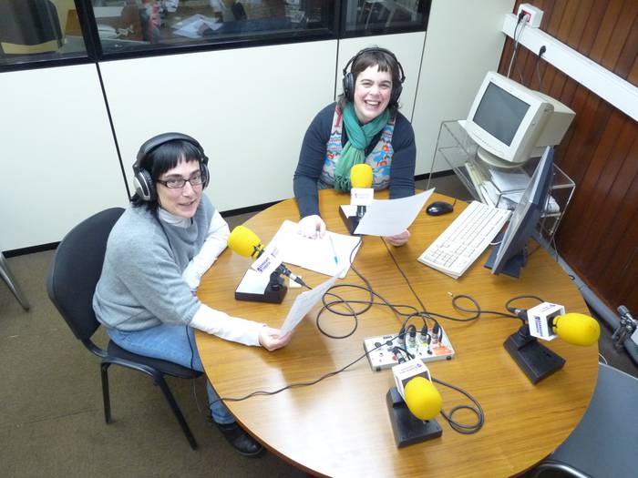 Arrasate Irratia Internet bidez, Goiena.net atarian
