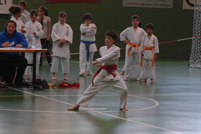 Karateka gazteak, tatami gainean