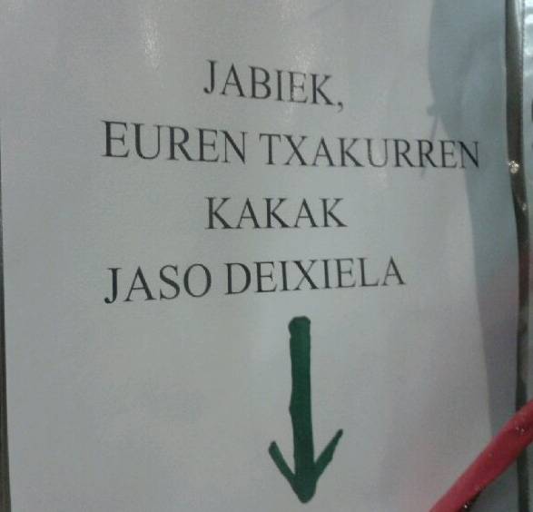Txakur kakekin kokoteraino