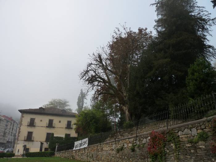 Arbolapeta eta Monterrongo indiar gaztainondoen adaburuak txikitu egingo dituzte