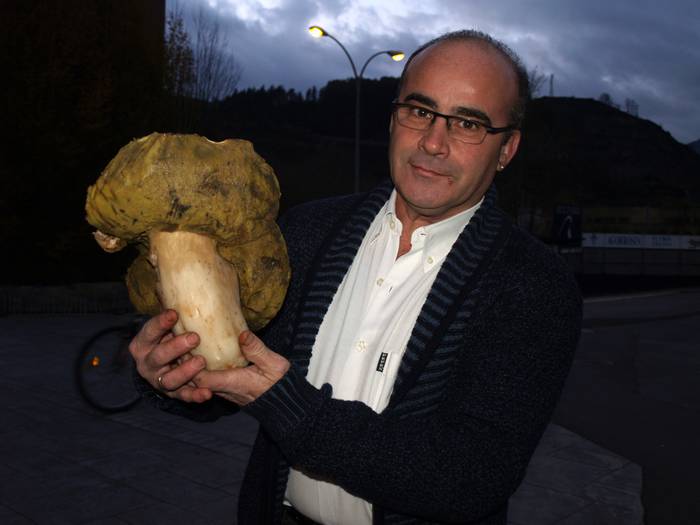 Ia bi kilo dituen onddoa hartu du Julio Bikuñak