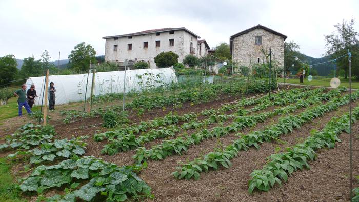 San Juango ortuen produktu dastaketa domekan