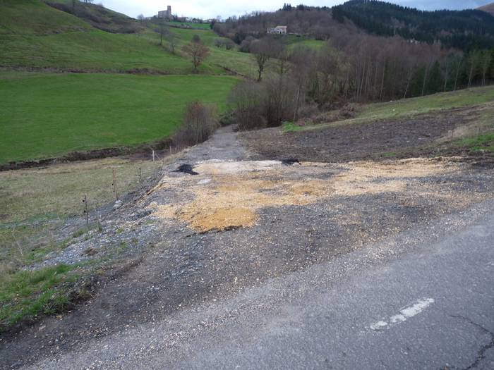 Ibarratik Azkoagarako bide zaharra zehaztu gura du Udalak