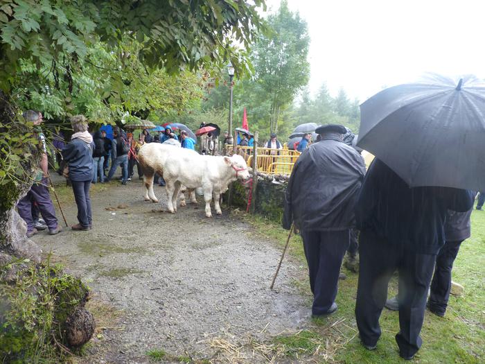 Aterpeko giroa, baina giro ona, gaur Elosuko ferian