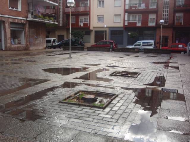 Udalak Matxiategiko plazatxoetako zuhaitzak moztu ditu 