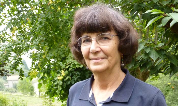 "Iruña-Veleian ondarearen kontrako atentatua egin dute eta delitu hori kode penalean dago" 