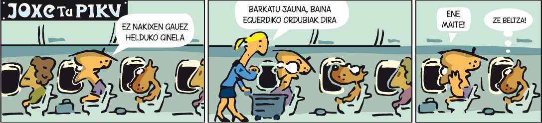 "Hegazkina"