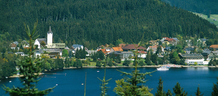 Alemaniara txangoa, Abaroatik