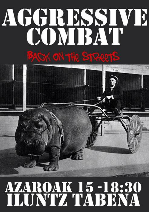 Agressive Combat taldearen kontzertua