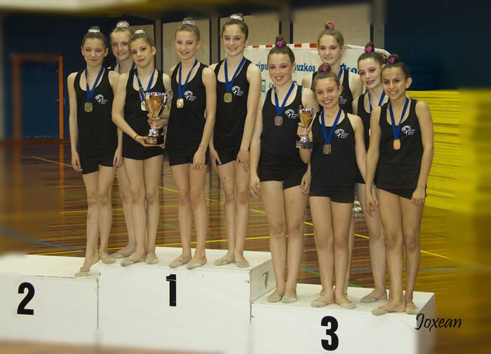 Ariznoa gimnasia taldeko neskek lan bikaina egin dute Hernanin