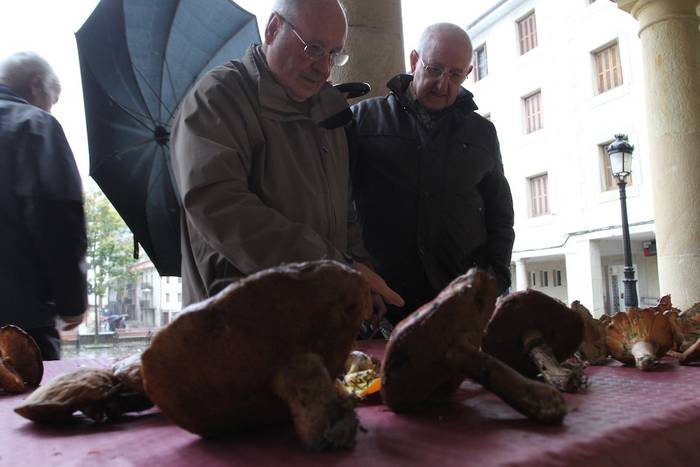 Arkupetan pintxo eta perretxikoak