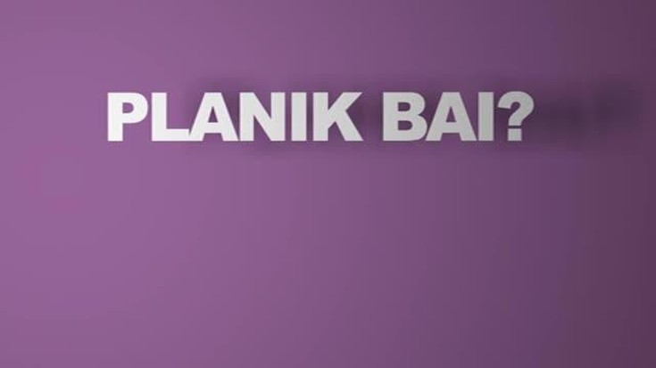 Planik Bai? 2013/010/17
