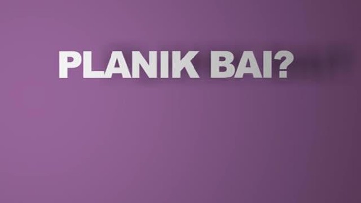 Planik Bai? 2013/11/21
