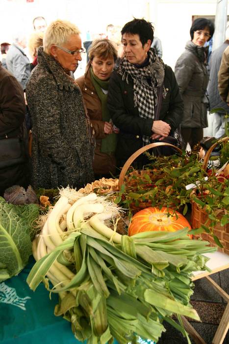 Aramaiora eta Gabiriara barazki eta fruta lehiaketetako lehen sariak